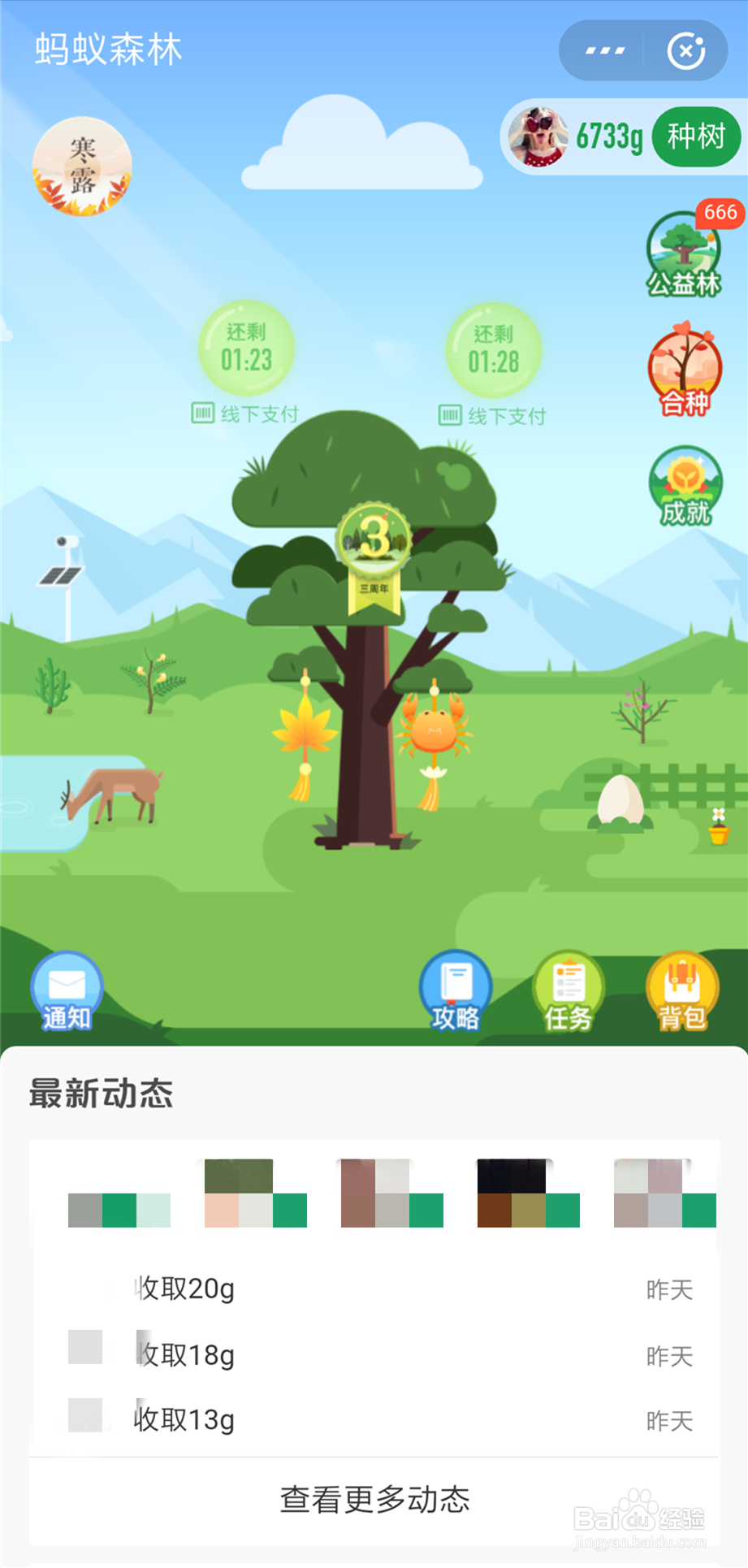 蚂蚁森林9.7kg攻略