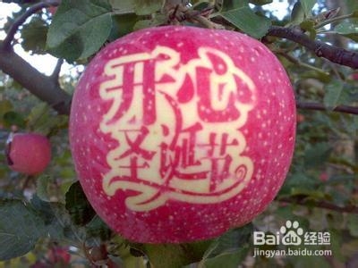 圣诞节怎么过：[2]吃点什么