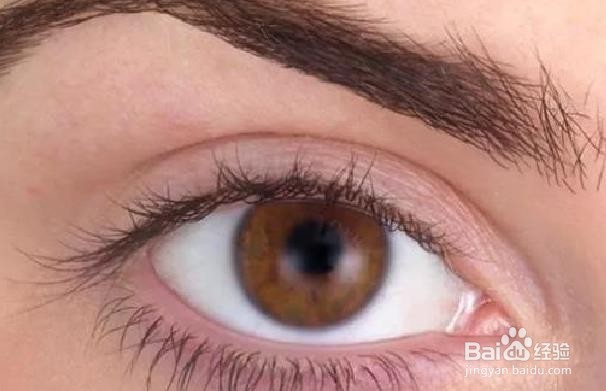 如何让你的睫毛更美丽
