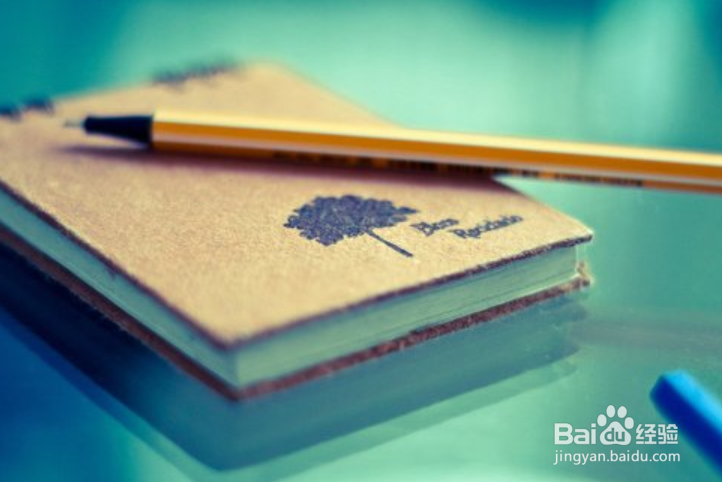 读(观)后感格式