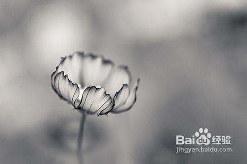 肝硬化有什么症状、、、、、、