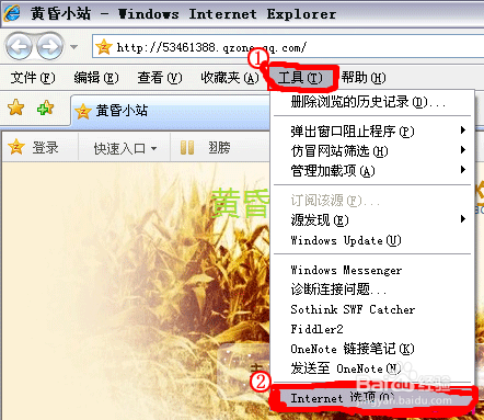 各种IE缓存清除方法