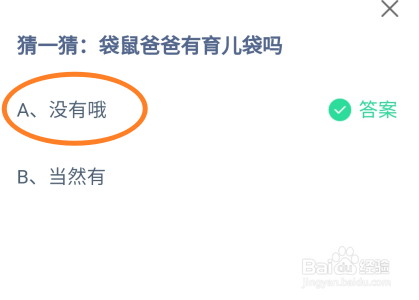 蚂蚁庄园2024年6月22日：袋鼠爸爸有育儿袋吗