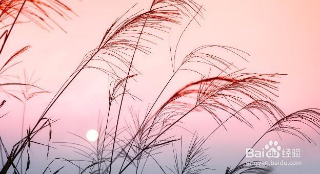 潘多拉的幸福,相处四部曲第三回