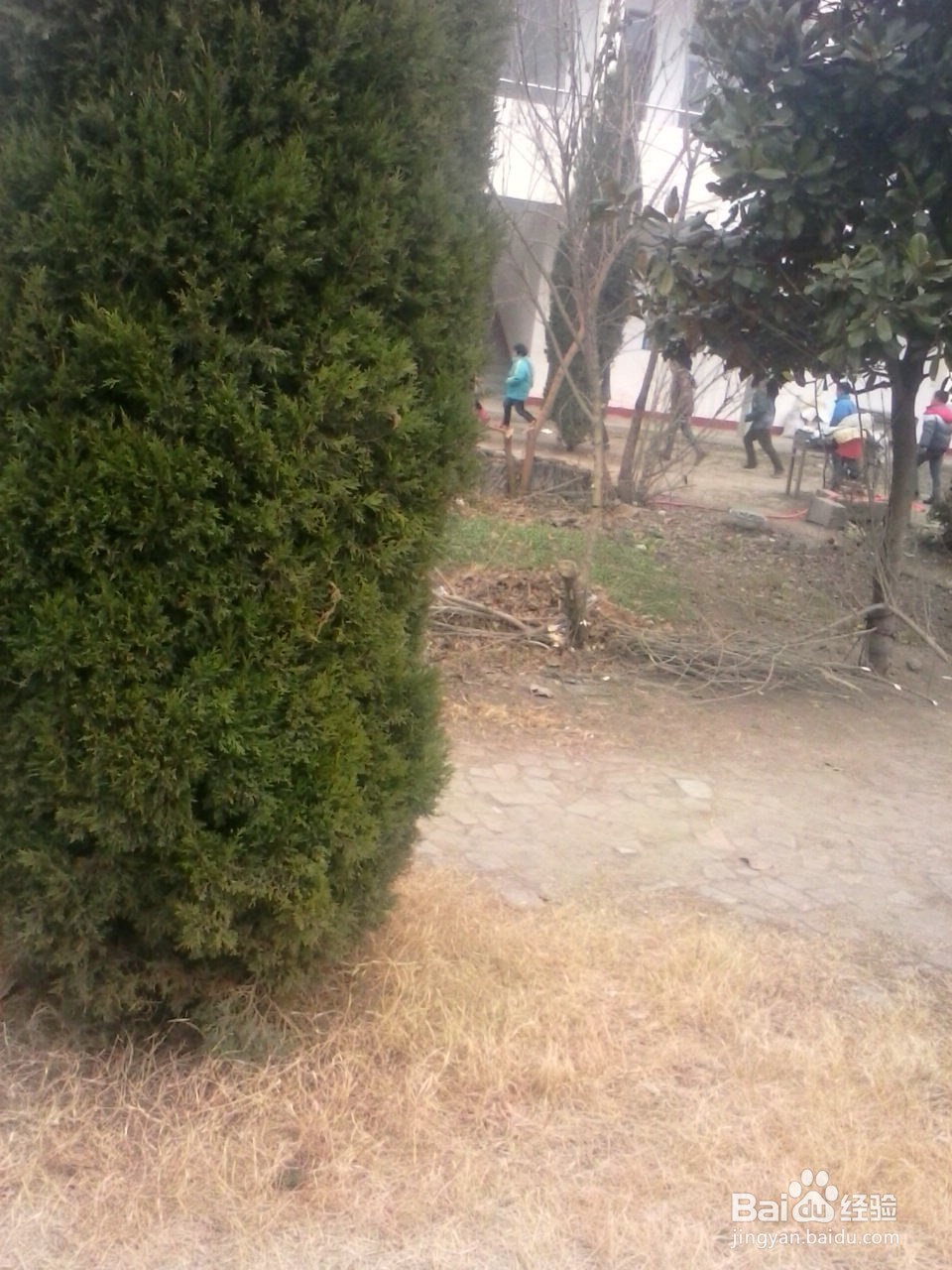 如何让孩子度过假期