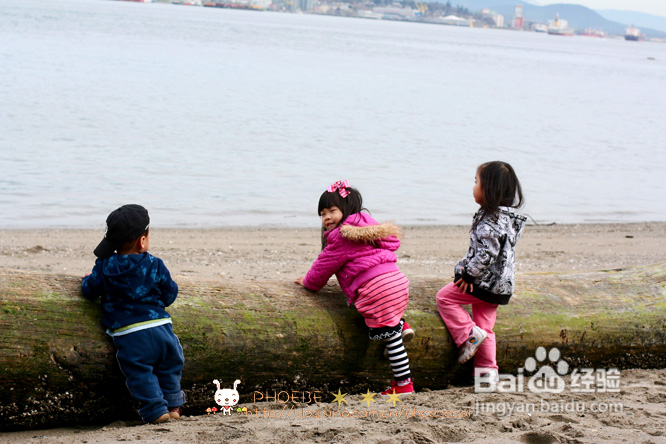 拾海的孩子&亲亲小动物(组图)