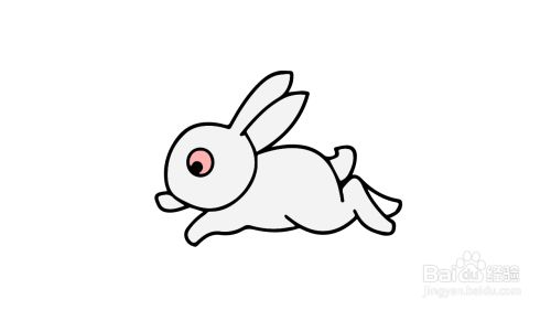 兔子的腿怎么画