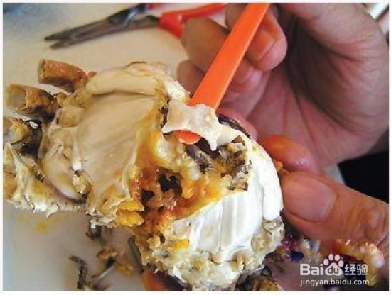 螃蟹应该怎么吃？