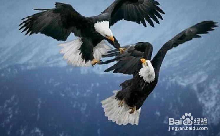 怎样对待出轨的丈夫