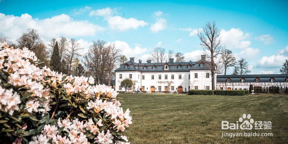 波兰古堡旅游简记11