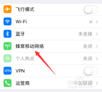 苹果手机iPhone怎么禁止流量更新软件