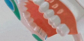 牙齿的日常护理