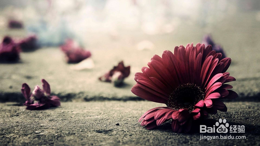 如何与婆婆和平共处