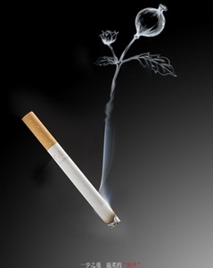 如何通过学校研究对吸烟行为进行有效的矫正