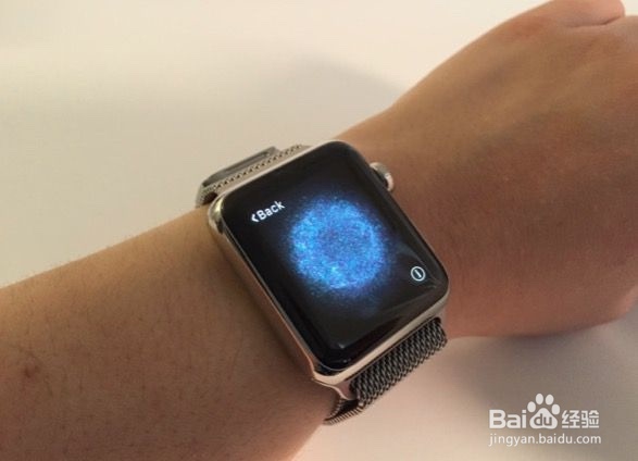 Apple Watch 设置详解 超详细教程(精品)