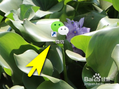 电脑微信如何关闭消息免打扰