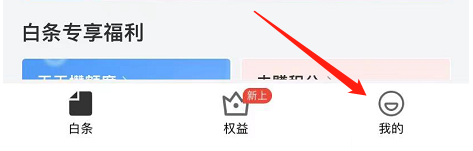京东白条60元优惠券怎么用