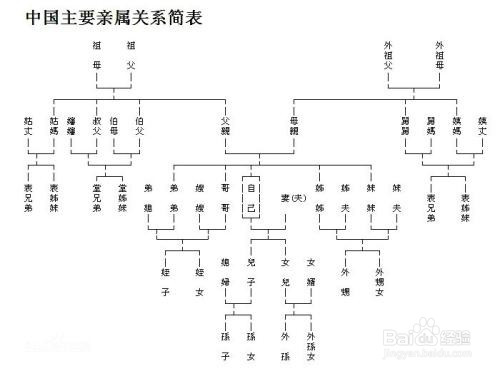 妈妈和女儿的关系怎么填写