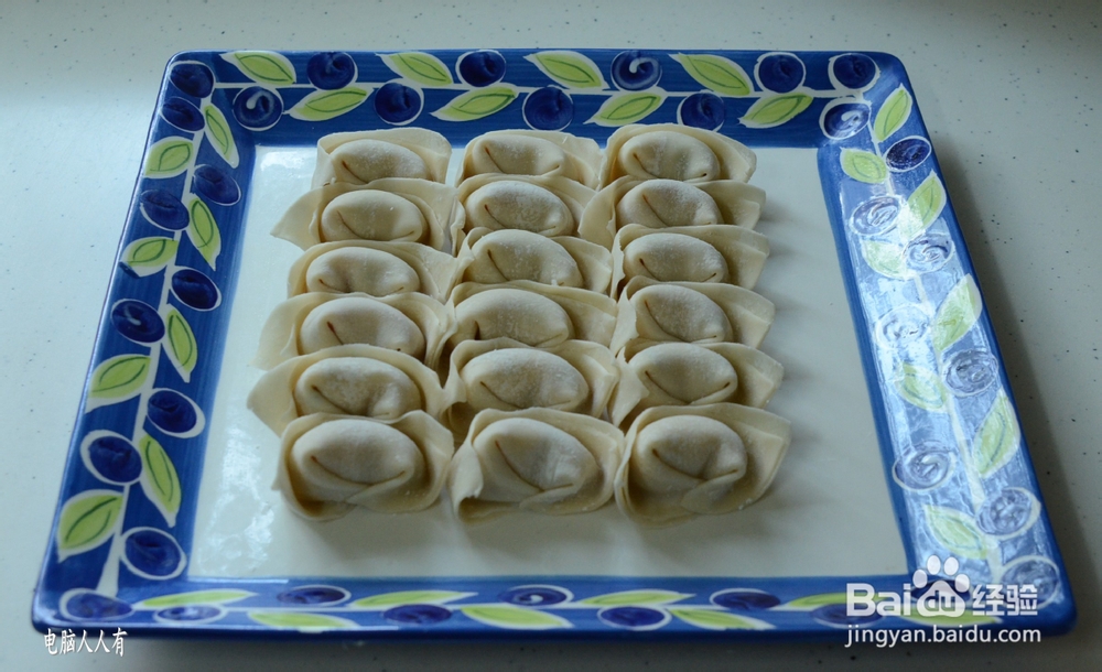 系列美食：[55]菜肉馄饨