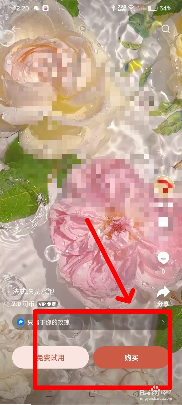 OPPO手机怎么设置动态壁纸