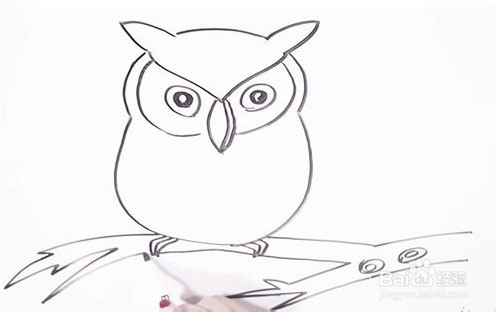 伴儿成长简笔画系列-怎样画猫头鹰简笔画