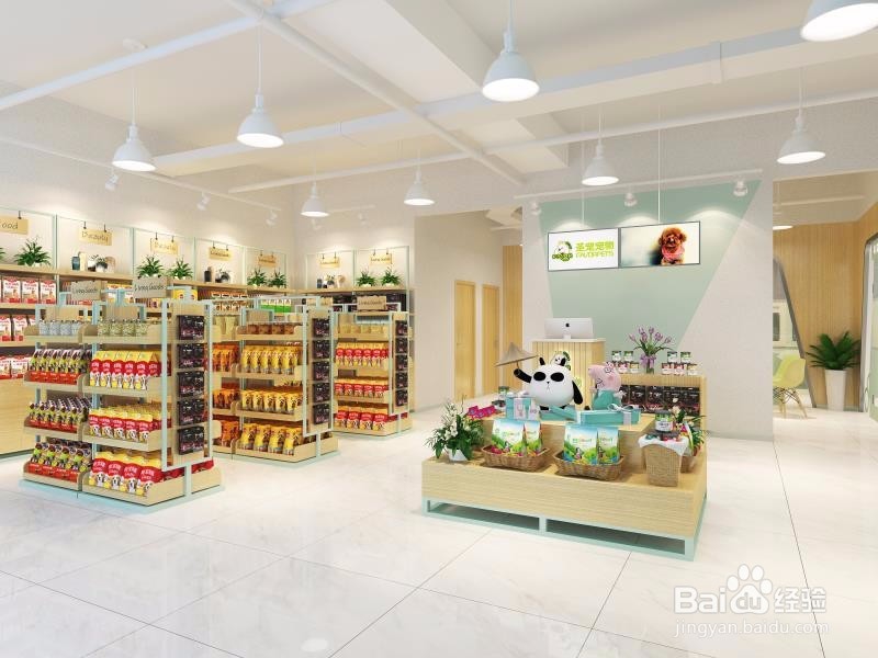 如何经营好一家宠物店,需要哪些过程呢