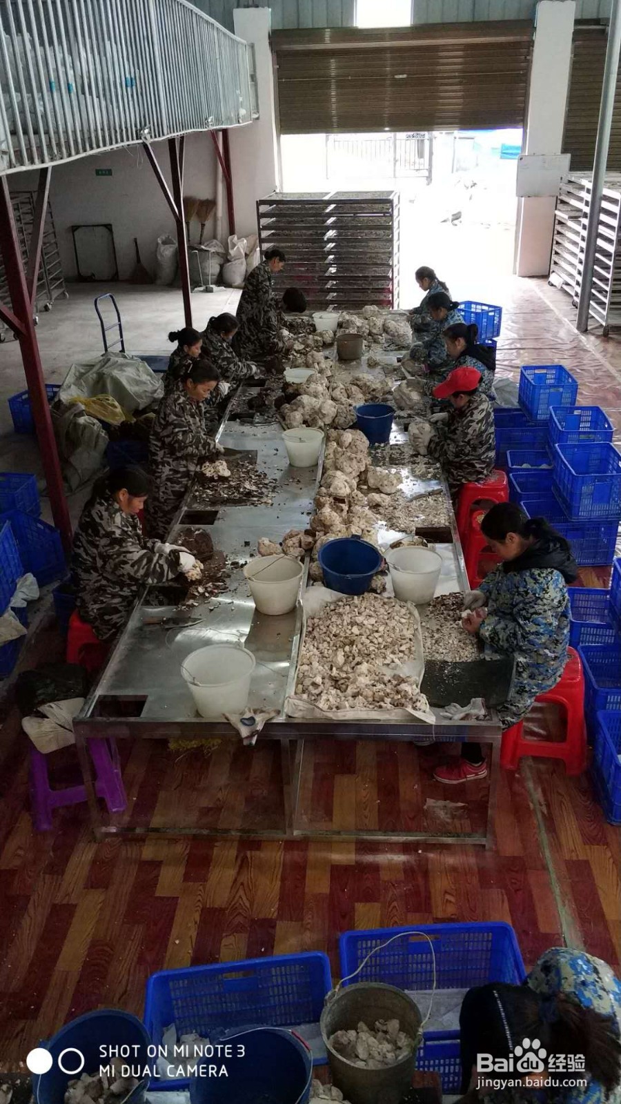 空气源热泵烘干机于茯苓烘干的应用