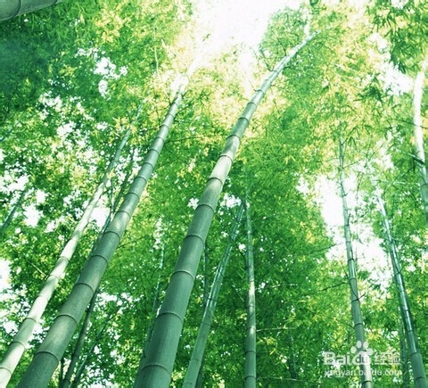 如何练就优秀的团队组织能力