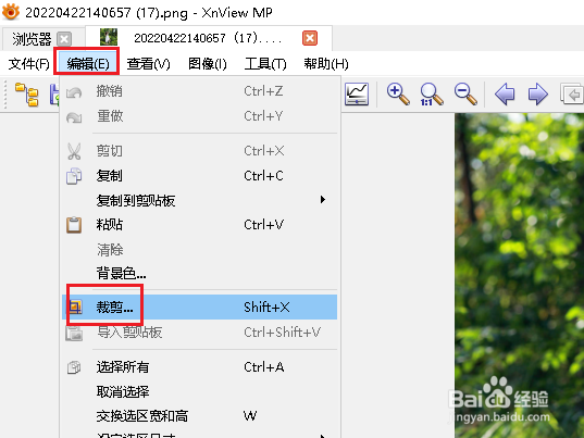 如何在XnViewMP中裁剪图片