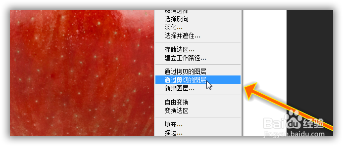 制作夏天鲜榨果汁需要素材之水果篇