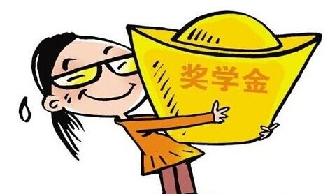 fellowship 和 scholarship有什么不一样吗