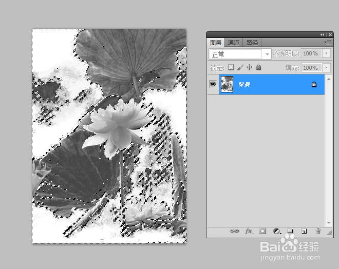 如何利用Photoshop制作水墨荷花