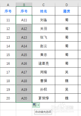 excel单元格前怎么批量加字母