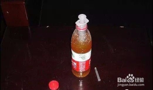 如何阳台盆栽种青菜?