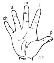 吉他弹奏时右手用手指还是指甲