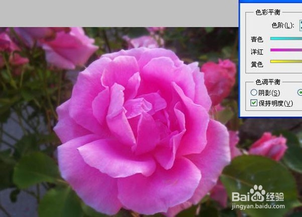ps淘宝美工教程：[4]局部高光调制唯美图片