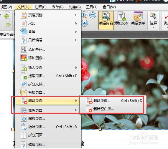 pdf文件怎么修改文字、图片及页面