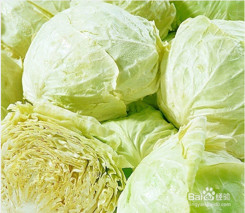 怎么治疗痛风效果好就用卷心菜