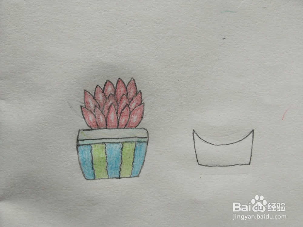 简笔画——怎么画多肉盆栽