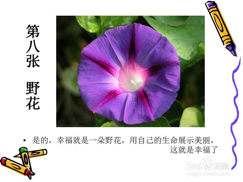 怎么感受幸福 幸福真的离我们很近 请用心看完