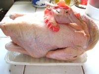 传统粤菜白切鸡