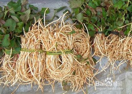 夏季养生远离疾病就要多吃几款抗菌菜