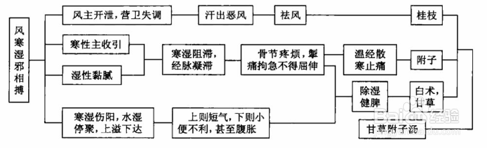 伤寒论考点重点疏理：[27]太阳病类似证