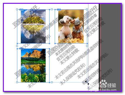 InDesign 快捷技巧:批量快速调整图片大小方法