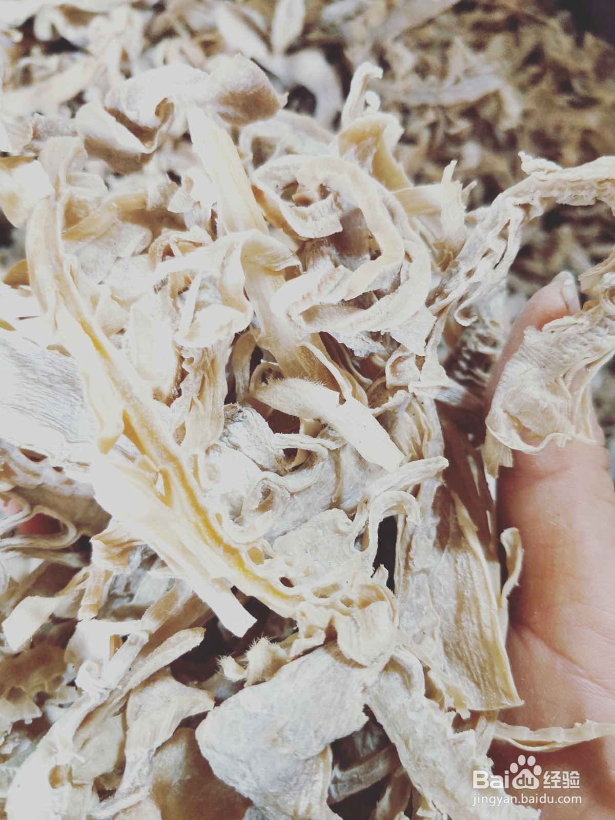 怎样保鲜毛尖笋