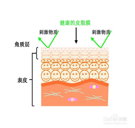 敏感肌肤如何选择洁肤水、卸妆水或者洁面产品?