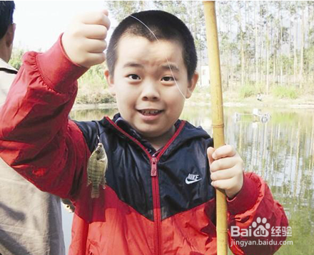 99%小朋友不知花生长地里还是挂树上，你信吗？