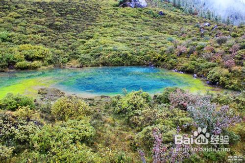国庆长假我的川西行