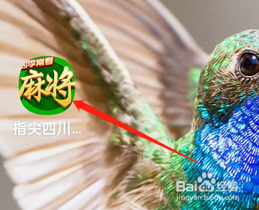 指尖四川麻将怎样开启方言