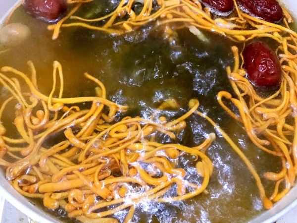 花胶虫草花乌鸡汤